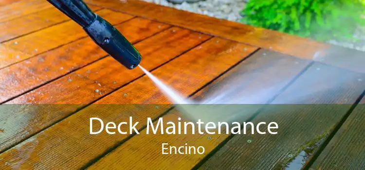 Deck Maintenance Encino